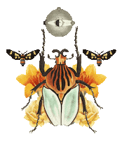 Collage Art Flowers Sticker by Agence Digitalis