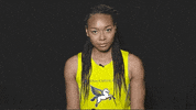 Excited Lets Go GIF by Dallas Wings