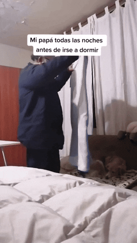 cuteanimalland giphyupload GIF