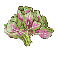 Amaranth Sticker