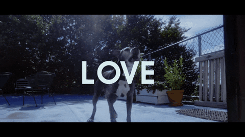 john legend love GIF by Columbia Records