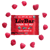 livbars healthy snack organic superfood Sticker