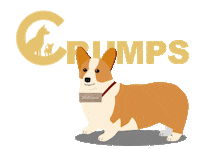 Jump Corgi Sticker by Crumps