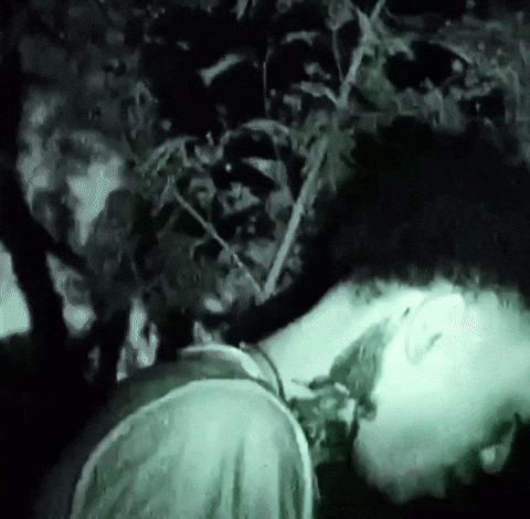 Rrr GIF by tdangerofficial