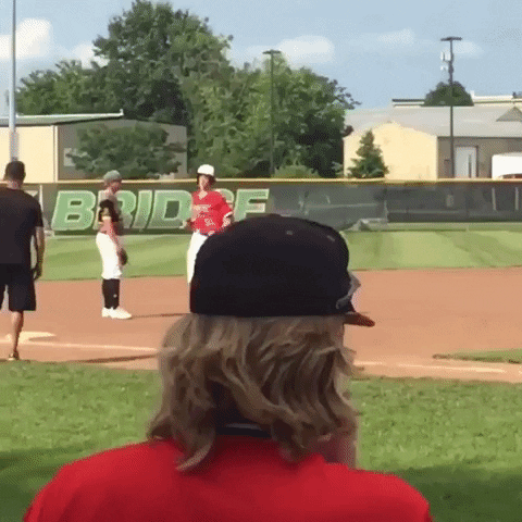 rawlingstigers baseball mlb high five coach GIF