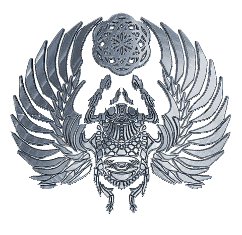 Rage_Nation_Apparel giphyupload rave silver scarab Sticker