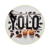 You Only Live Once Yolo Sticker by Petals Patch