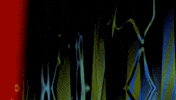 Video Art GIF by cskonopka