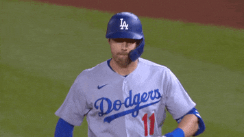 Los Angeles Sport GIF by MLB