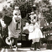 Mascot Seagull GIF by SamTrans