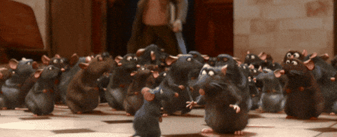 Rats Ratatouille GIF by Disney Pixar