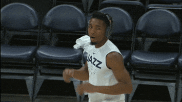 count it donovan mitchell GIF by NBA