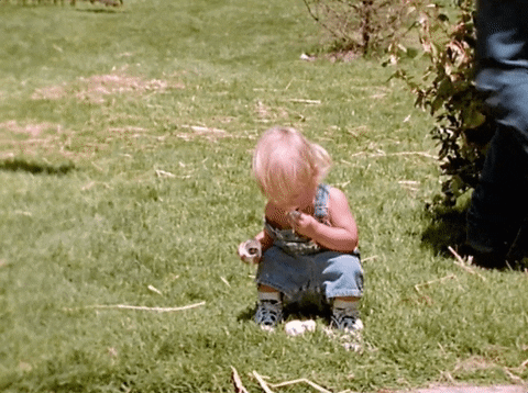 GIF by Chris LeDoux