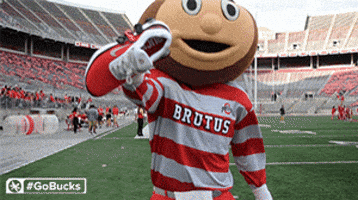 Ncaa Sports GIF by Ohio State Athletics