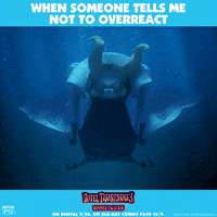 GIF by Sony Pictures Animation