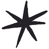sparkle faisca Sticker by Henri Campeã