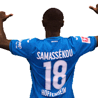 Sport Bundesliga Sticker by TSG Hoffenheim