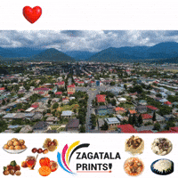 Zaqatala GIF by Zagatala Prints
