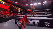 Wwe Wrestling GIF