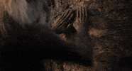 disneystudios the lion king rafiki GIF