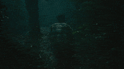 Do You See What I See Horror GIF by MD Pictures