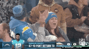 National Football League GIF by NFL