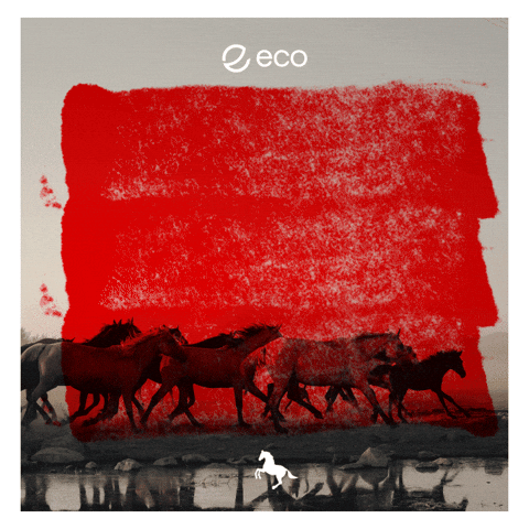 To The Moon Crypto GIF by Eco