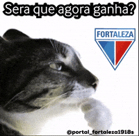 Portalfortaleza1918S GIF