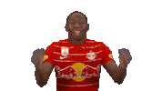 Red Bull Celebration Sticker by FC Red Bull Salzburg