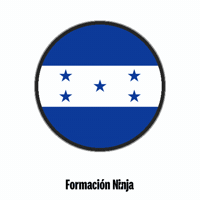 Flag Bandera GIF by Formación Ninja