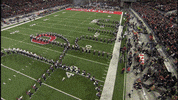 Ncaa Sports GIF by Ohio State Athletics