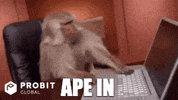 Crypto Bitcoin GIF by ProBit Global