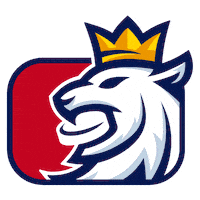 czech lev Sticker by Národní tým