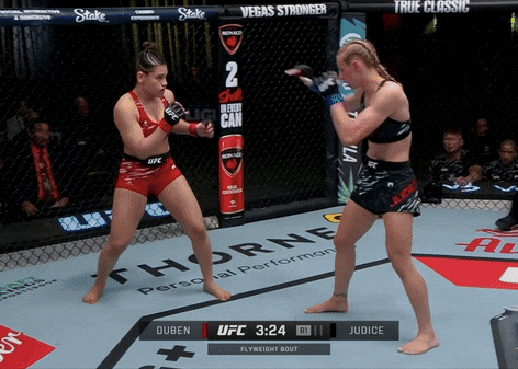 giphy.gif
