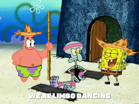 season 5 GIF by SpongeBob SquarePants