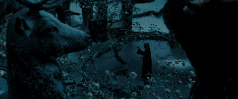 GIF by Beauty And The Beast