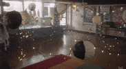 total eclipse lauren orlando GIF by Brat