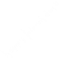 Birthday 誕生日 Sticker