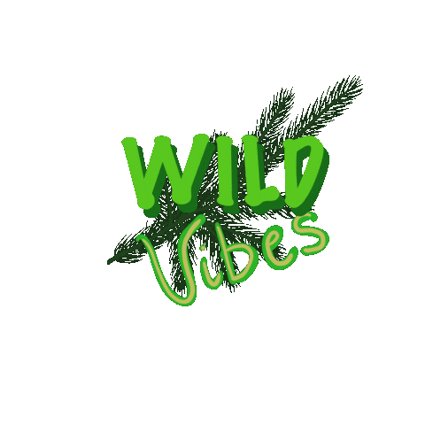 Vibes Explore Sticker