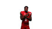 Utah Utes Sticker by Utah Football