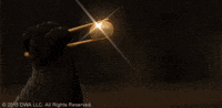 kung fu panda GIF