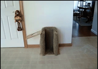 GIF by Demic