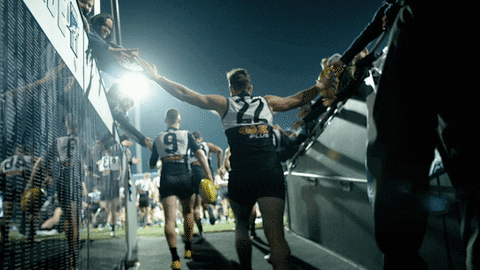 race crowd GIF by Port Adelaide FC