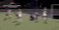 ncaa sports running GIF by Delaware Blue Hens