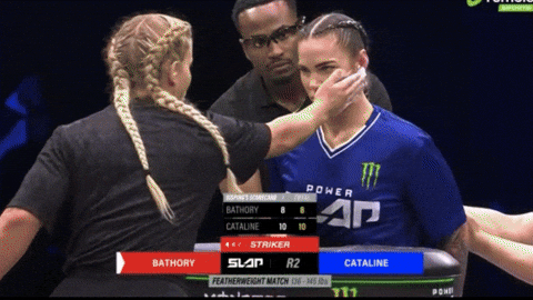giphy.gif