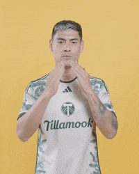 Mls Portland GIF by Timbers