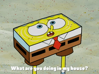 season 4 episode 10 GIF by SpongeBob SquarePants