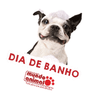 Mundoanimalrp pets riopreto mãedepet paidepet Sticker