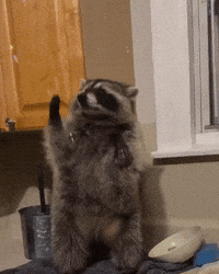 Happy Guardians Of The Galaxy GIF by Respective