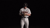 University Of Louisville Baseball GIF by Louisville Cardinals
